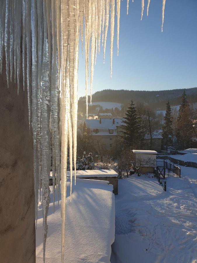 Orlicka Apartament Duszniki Zdrój Exteriör bild