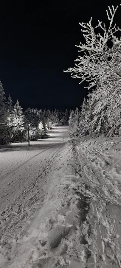 Orlicka Apartament Duszniki Zdrój Exteriör bild