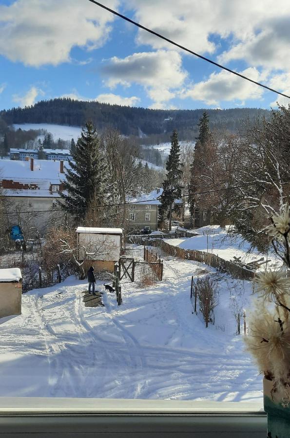 Orlicka Apartament Duszniki Zdrój Exteriör bild